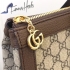 Gucci Bag 054